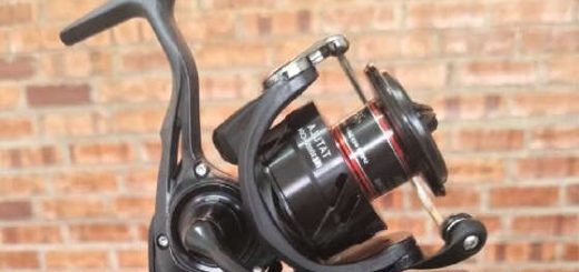 Daiwa Tatula LT