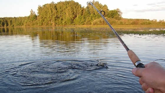 Рыбалка на речке Припять