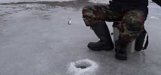 Зимняя Рыбалка: Безмотылка против Мотыля