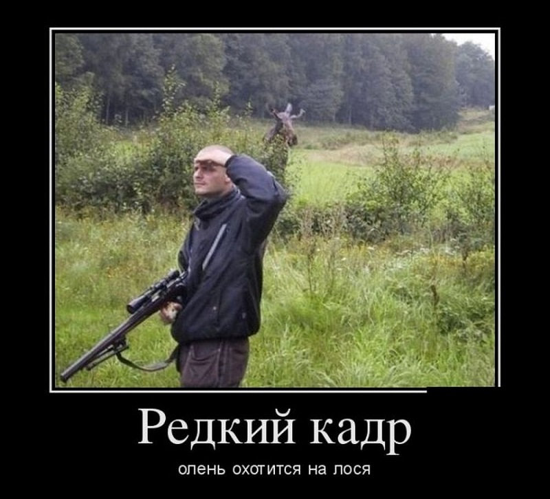 Смешные демотиваторы поднимут вам настроение Смешные демотиваторы поднимут вам настроение