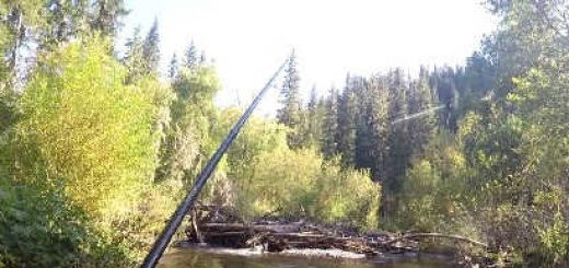Рыбалка на таежных реках