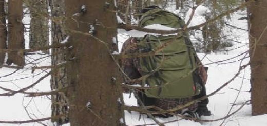 Охота в зимнем лесу