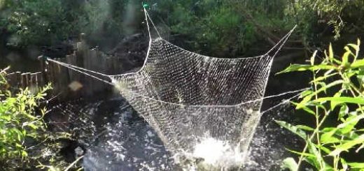 Рыбалка на паук, подъёмник в болотном ручье