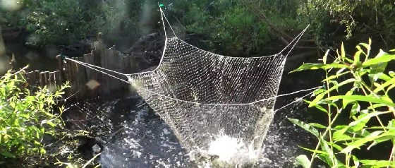 Рыбалка на паук, подъёмник в болотном ручье