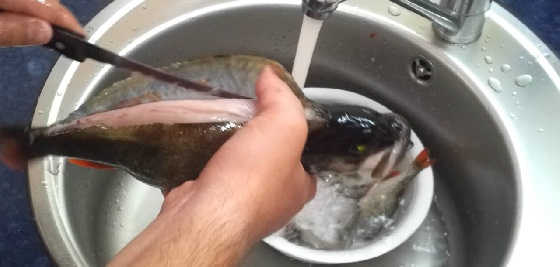 Рыбалка: Как быстро почистить окуня