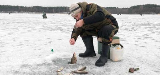 Поклевка леща 2020