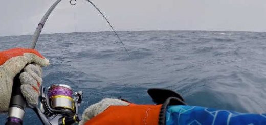 Морская рыбалка на Сейшелах
