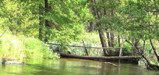 Секретные водоёмы Беларуси