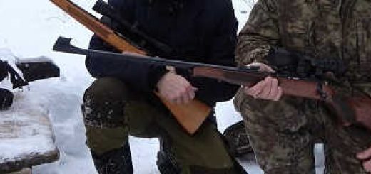 ТОЗ-99 и CZ-455 FOREST 22 lr Сравнение мелкашек