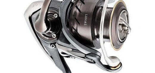 Обзор Daiwa Luvias LT 2020