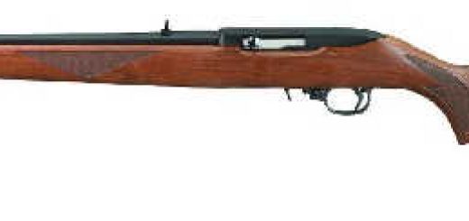 Ruger 10-22