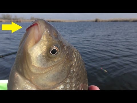 Караси на удочку в снегопад