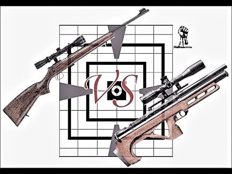 ПСП винтовка VS Мелкашка 22LR