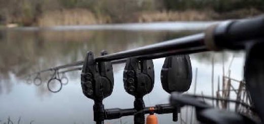 ЛОВИМ КАРПА в ХОЛОДНОЙ ВОДЕ