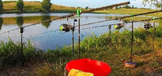 ЛОВЛЯ КАРПА НА ЗАРЫБЛЕНОМ ВОДОЕМЕ