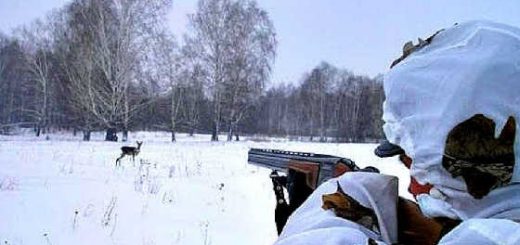 Как колхозники на косулю ходят