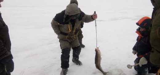 Рыбалка со льда на слиянии Волги и Камы