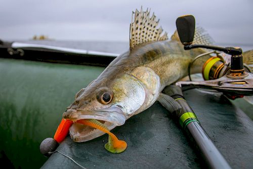 Тест спиннинга на судака: выбираем лучший инструмент для успешной рыбалки