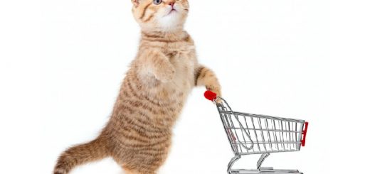 Товары для котов