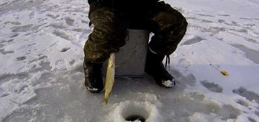 Зимняя рыбалка на Касперовском водохранилище