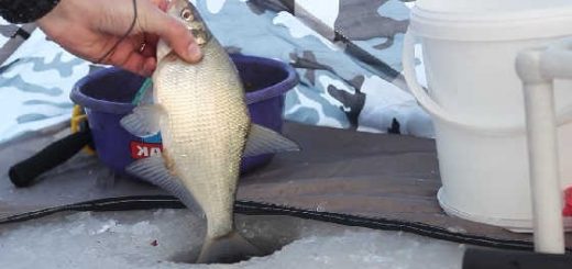 Зимняя рыбалка с палаткой: Ловля леща на донки
