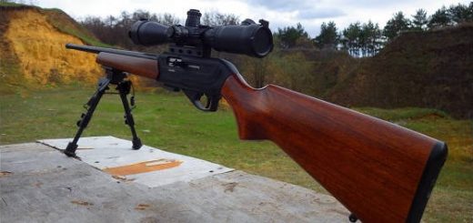 Мелкашка ЧЗ-512 Carbine