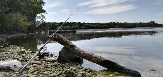 Фидерная рыбалка в Беларуси