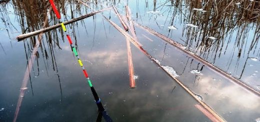 Каша для ловли карася на поплавок весной в марте