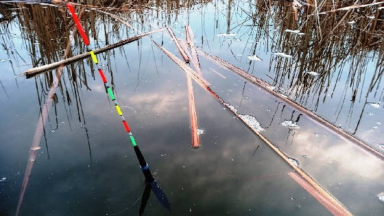 Каша для ловли карася на поплавок весной в марте