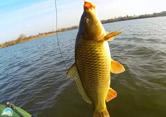 видео с рыбалки на фидер