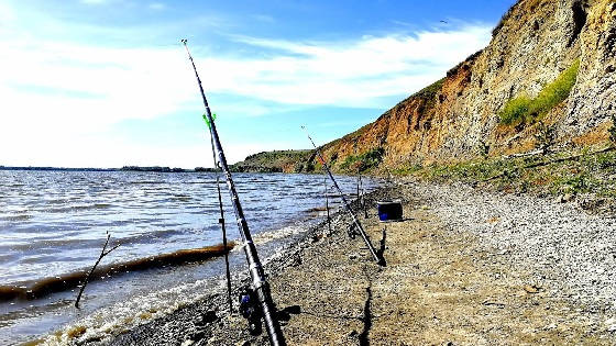 Рыбалка и отдых на Дону