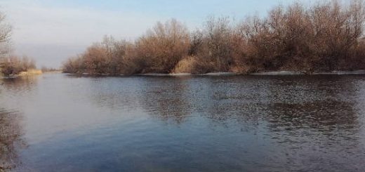 Поиск весеннего хищника по рекам Астраханской области