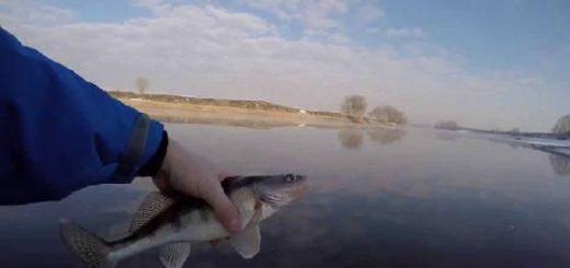 Рыбалка на Москве-реке в марте
