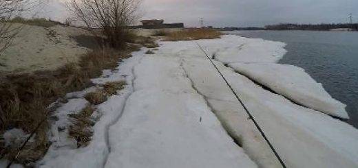 Весенняя ловля судака на раттлины и окуня на дроп-шот