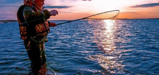 Весенняя рыбалка на раскатах в Астрахани
