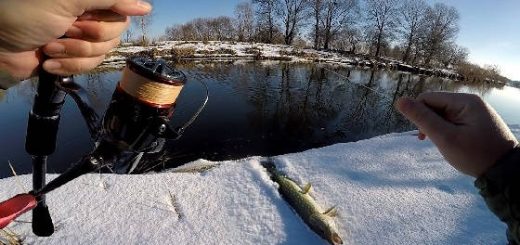 Щука на плавающего рака в конце зимы