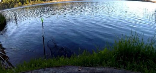 Фидерная ловля на озере
