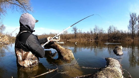 Ловлю КАРАСЯ в ЗАБРОД в КОРЯЖНИКЕ