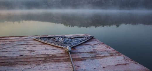 Ловля карпа по холодной воде ранней весной