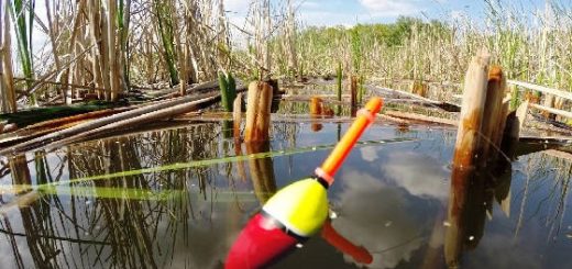 Ловля на заброшенном водоеме