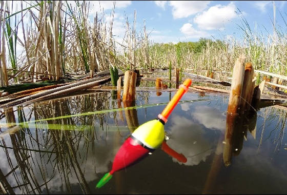 Ловля на заброшенном водоеме