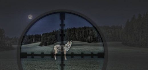 Выстрелы по волкам и шакалам