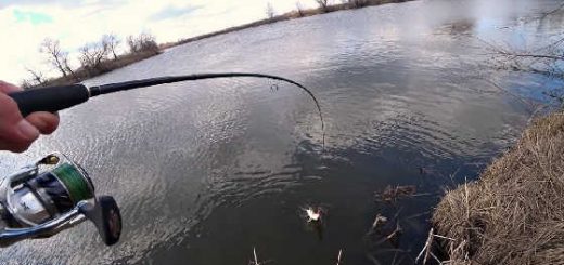 Рыбалка весной со спиннингом на канале