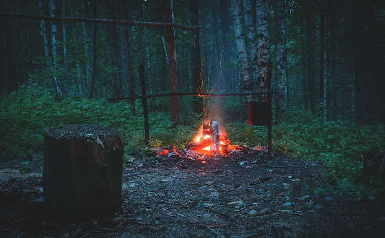 Как затушить зайца в тайге