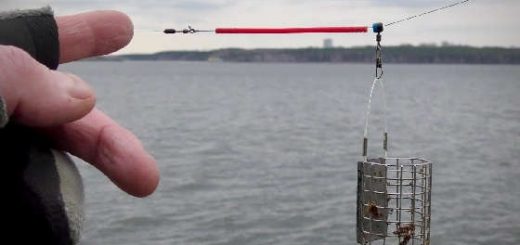 Обзор кресла Feeder Concept Compact