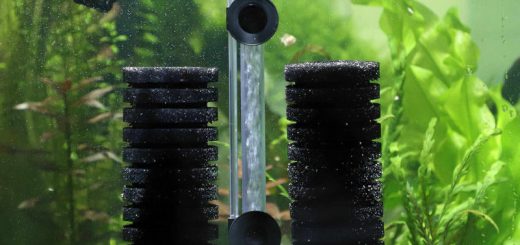 Аквариумный фильтр отвечает за очистку воды от загрязнений и микроорганизмов