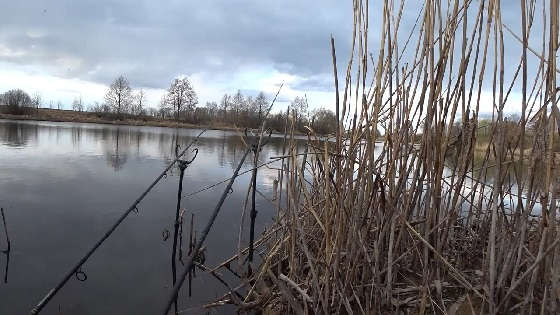 Ловля карпа в шторм весной