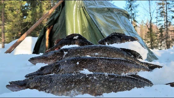 Зимняя рыбалка с ночёвкой на первом шалаше