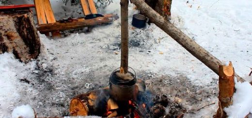 Советы по выживанию в лесу и бушкрафту