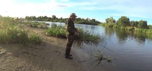 Фидерная ловля на реке Припять